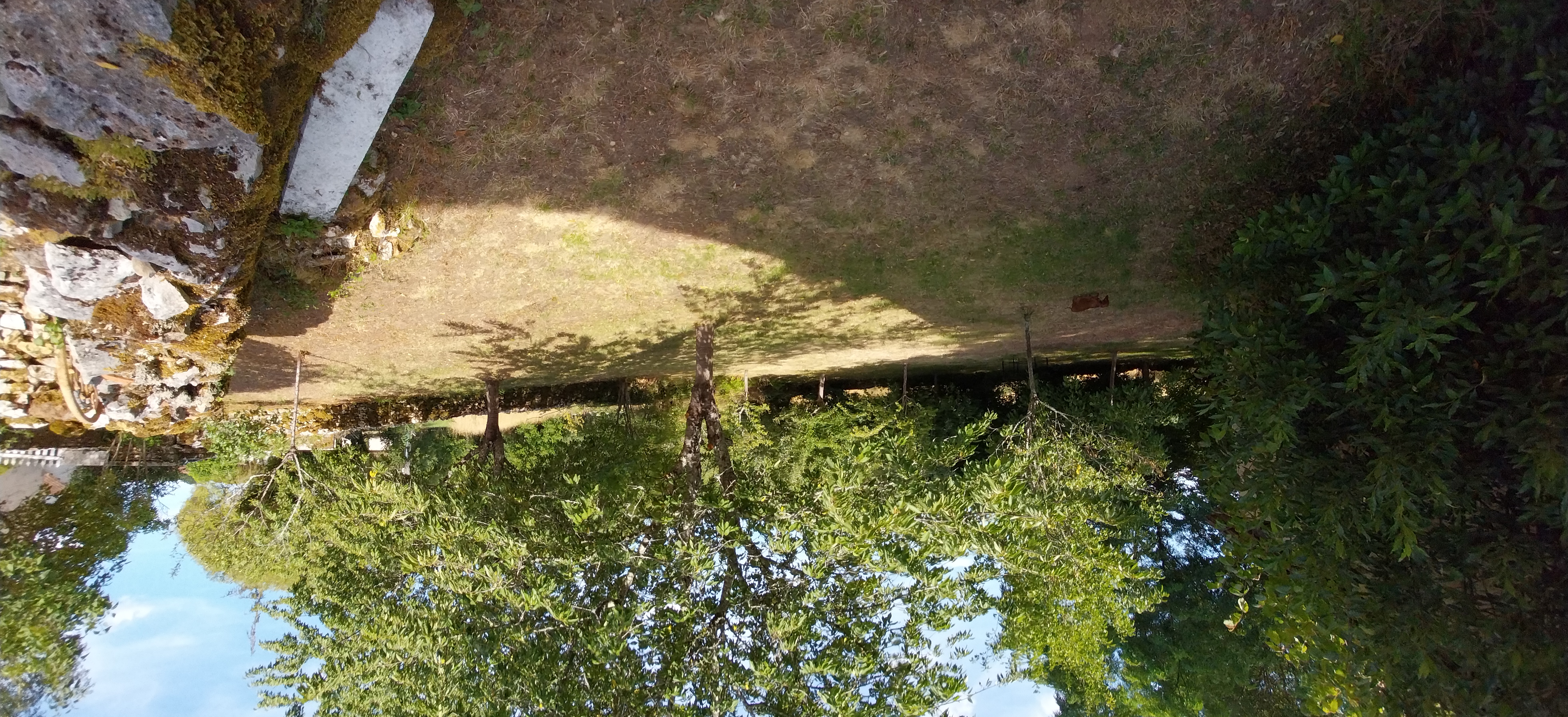 Le jardin arboré autour de L’Instant Suspendu
